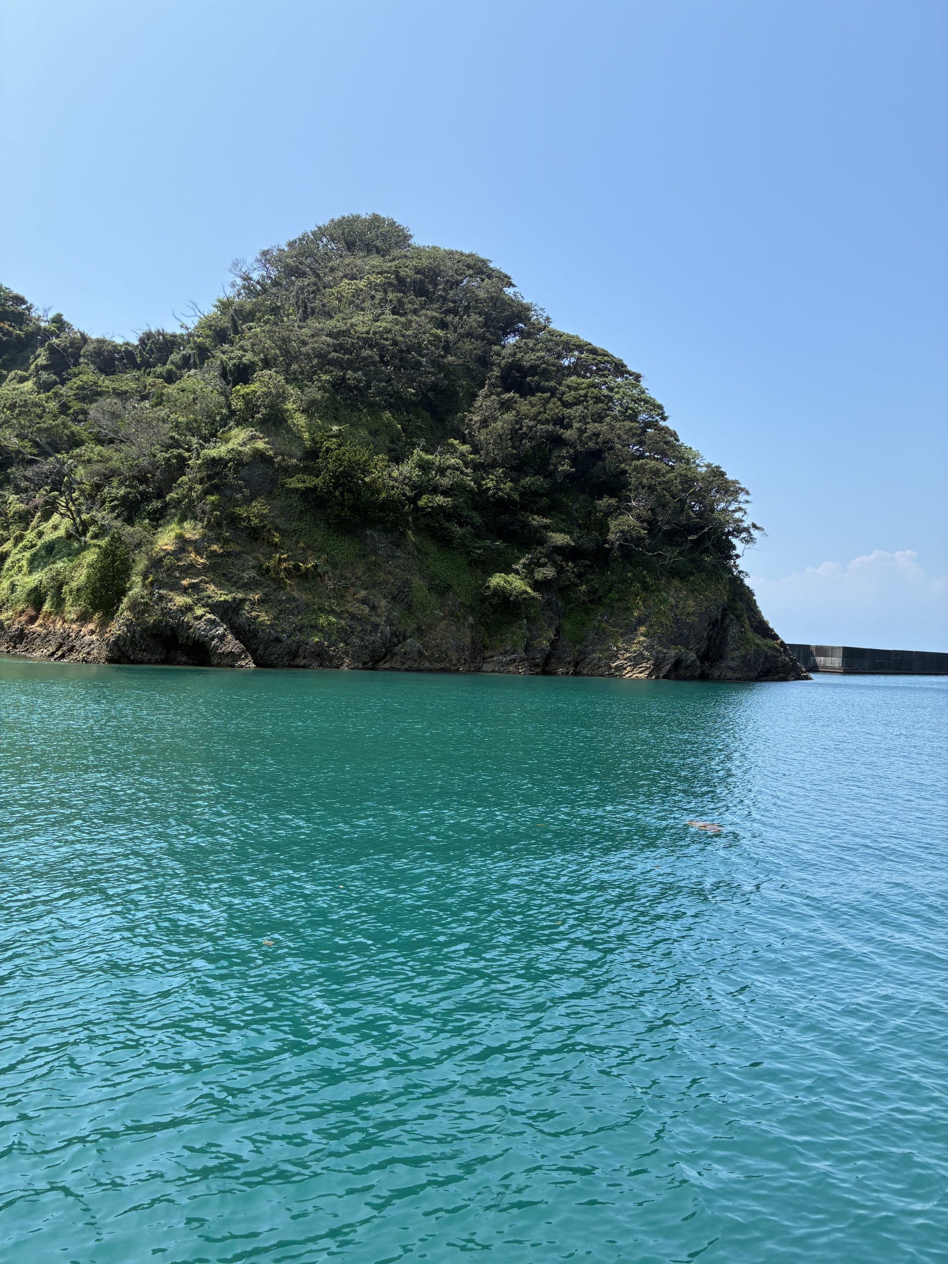 透明度の高い田子港の海