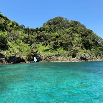 透明度の高い田子港の海
